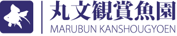 丸文観賞魚園